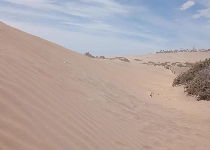 公寓 El Nido De Los Angeles